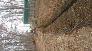 Underground Utility-Electric-CELCO Electric LLC-Paoli Indiana