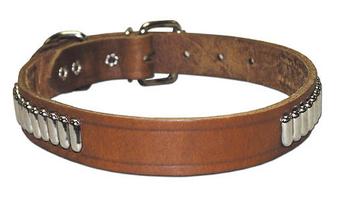 Oblong Studded Collar