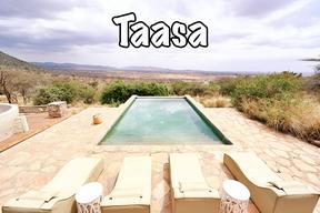 taasa africa tanzania safari wild animals