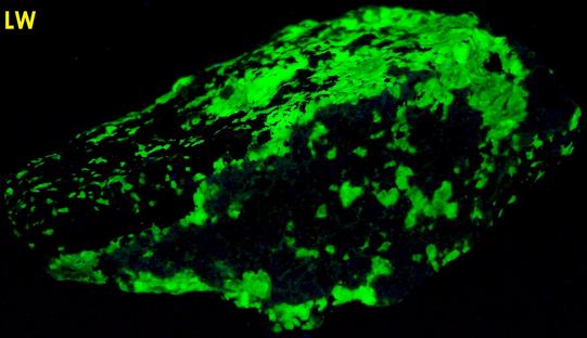 FRANKLINITE and fluorescent green WILLEMITE - Franklin Mine, Franklin, Franklin Mining District, Sussex County, New Jersey, USA – Franklinite type locality - ex Mineral Showcase
