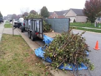 Yard Waste Disposal & Debris Removal