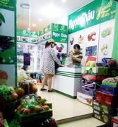 Hoa quả nhập khẩu hoàng Quốc Việt
