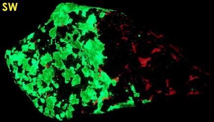 FRANKLINITE-MAGNETITE, fluorescent WILLEMITE, CALCITE - Sterling Mine, Sterling Hill, Ogdensburg, Franklin Mining District, Sussex County, New Jersey, USA - Franklinite type locality - sold