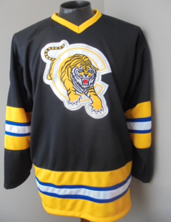 First AHL jersey from chocolate town : r/hockeyjerseys