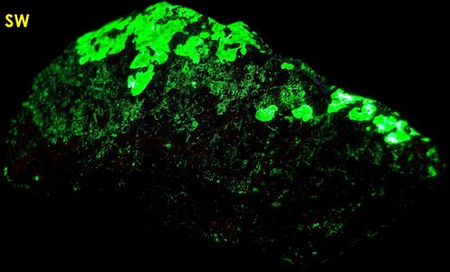 fluorescent WILLEMITE and HYDROZINCITE, ZINCITE, FRANKLINITE,Sterling Mine, Sterling Hill, Ogdensburg, Franklin Mining District, Sussex County, New Jersey, USA