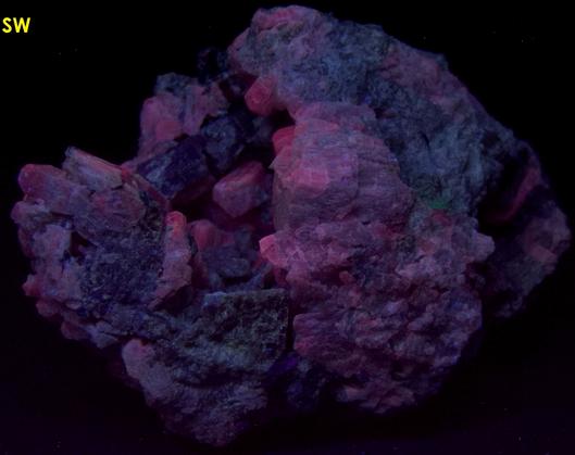 fluorescing SCAPOLITE, TREMOLITE, MUSCOVITE mica - Combermere area (Palmer Rapids area), Renfrew County, Ontario, Canada - ex Morris Museum