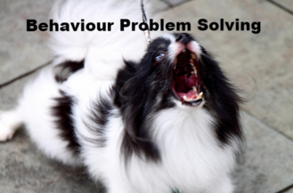 Master and Hound, Dog training and Behaviour, Problem Behaviour, Dog wont stop, dog problem