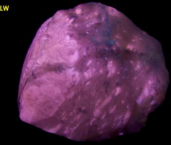 fluorescent phosphorescent Terlingua-type CALCITE - San Vicente Mine, Boquillas del Carmen, Mun. de Ocampo, Coahuila, Mexico - ex Bill Mattison "Glowing Rocks"