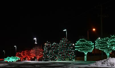 Trees at Premier Bank Card