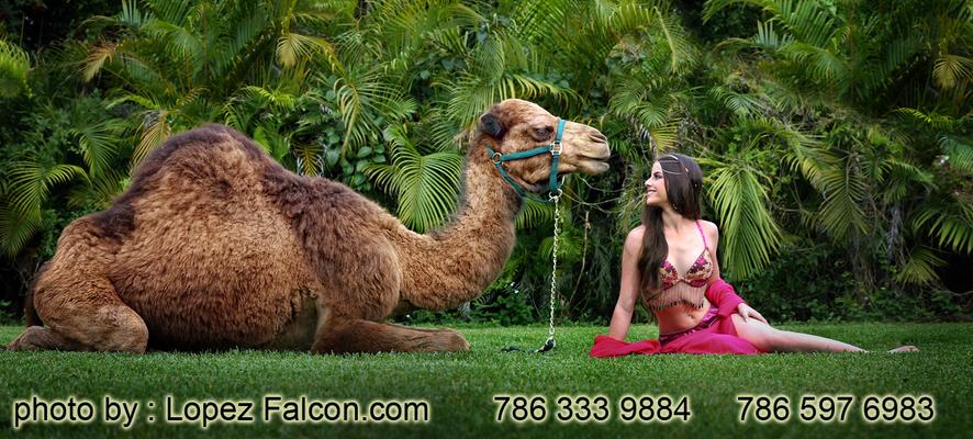 Arabian Nights Quinceanera with Camel Photo Shoot MiamiTheme Moroccan Quinces