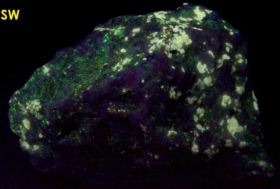fluorescing FLUOBORITE, CHONDRODITE, PYRITE, CALCITE - Lime Crest Quarry (Lime Crest-Southdown Quarry), Sparta Township, Sussex County, New Jersey, USA