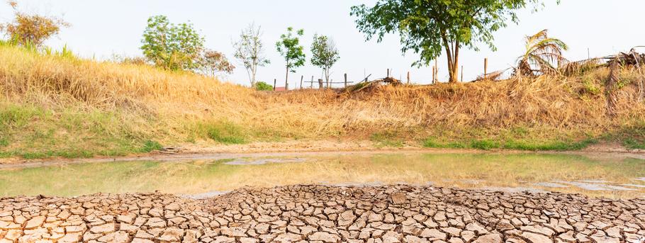 Cracked earth climate change