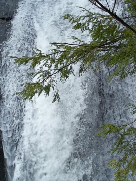 Hamilton Falls