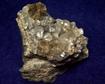 CHABAZITE-Ca, CHALCOPYITE, PYRIE, PYROLUSITE, fluorescent CALCITE - Upper New Street Quarry (Burger's Quarry), Paterson, Passaic County, New Jersey, USA - ex Fred J Parker "Parker Mineral"