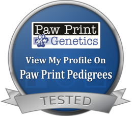Paw Prints breeder