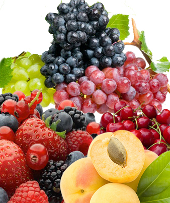 Vitamin P – Flavonoids 