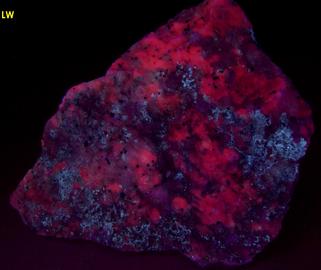 Crazy Calcite - fluorescent DOLOMITE, CALCITE, ARAGONITE, phosphorescent WILLEMITE, DIOPSIDE, FRANKLINITE, ZINCITEFranklin, Franklin Mining District, Sussex County, New Jersey, USA