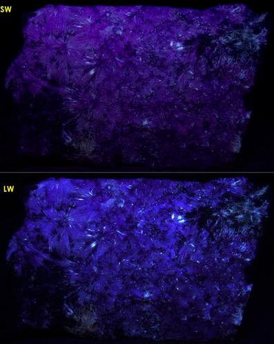 fluorescent phosphorescent Xonotlite, Magnetite, Serpentine, Hunting Hill quarry (Rockville Crushed Stone Quarry; Travilah Quarry; Rockville Quarry; Bardon Stone Quarry; Aggregate Industries Quarry), Rockville, Montgomery County, Maryland, USA, ex Fred J. Parker