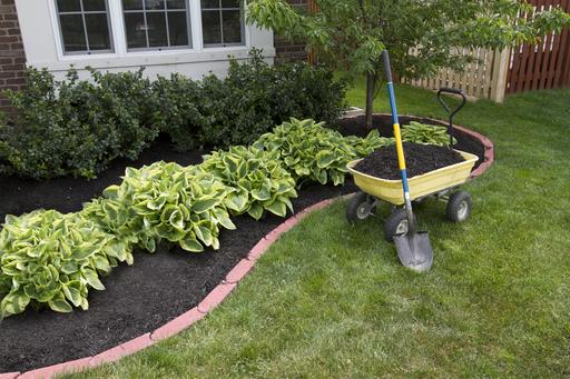 COMMERCIAL LANDSCAPING SERVICE IN CORRALES NM