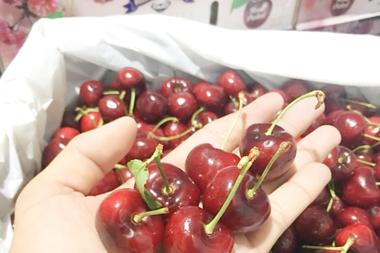 bán chery Mỹ tại Hà Nội giá rẻ