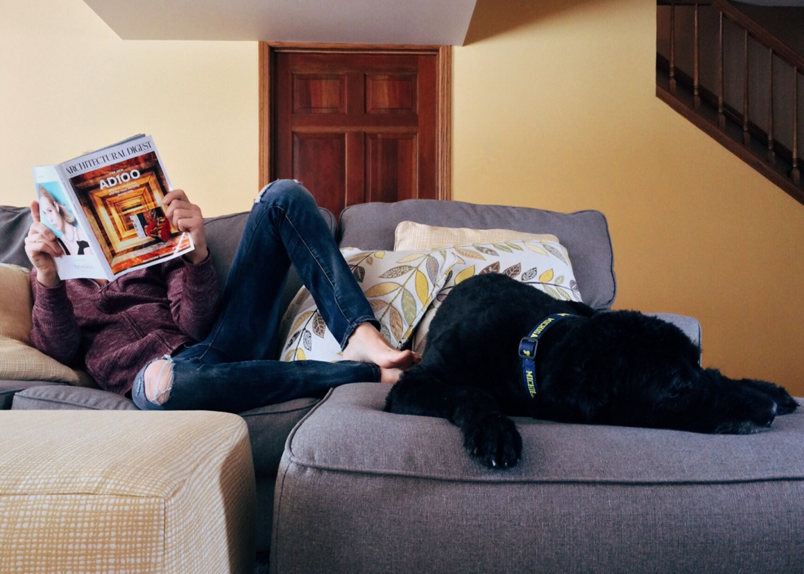 Stay home on your couch with your dog