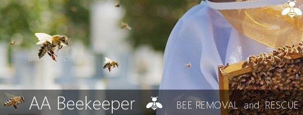Fountain Valley Bee Removal