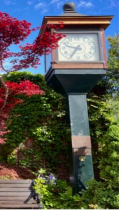 City Clock Landmark Photo by Josette Johnson Placerville California