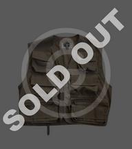 SOLD OUT