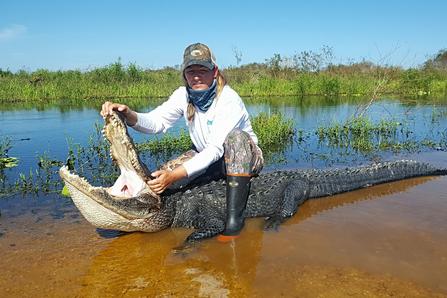 Alligator hunting