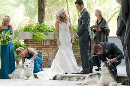 Gale Woods Chapel with Dogs as Ringbearers