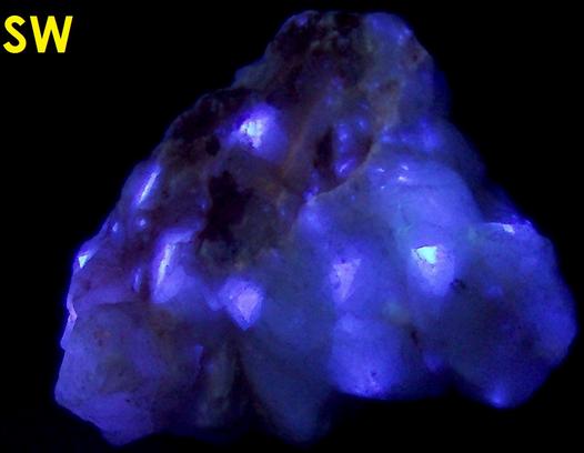 fluorescent phosphorescent Terlingua CALCITE, Terlingua, Terlingua Mining District, Brewster County, Texas, USA - ex Richard Eisenman "Highland Rocks"