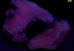 fluorescent CRYOLITE with SIDERITE, Ivigtut Cryolite deposit, Ivittuut (Ivigtut), Arsuk Firth, Arsuk, Sermersooq (Kitaa Province; West Greenland), Greenland, Denmark