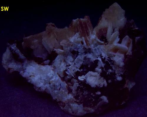 fluorescent CERUSSITE - Superfund site - Bunker Hill Mine (Tyler; Stemwinder; Bunker Hill and Sullivan; Bunker Chance Mine), Bunker Hill properties, Kellogg, Coeur d'Alene District, Shoshone County, Idaho, USA