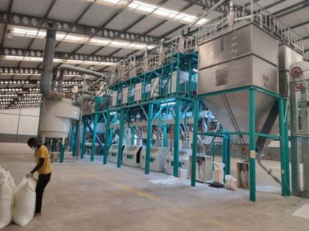 100t corn flour milling mill