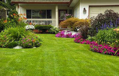 Landscaped Yard