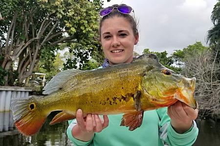 lake ida peacock bass