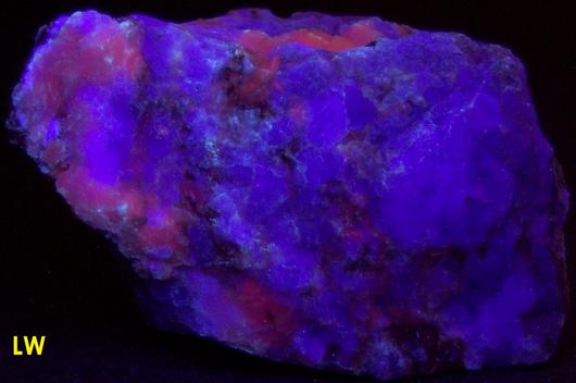 SW LW fluorescent FLUORITE and CALCITE – Nuevo Leon, Mexico