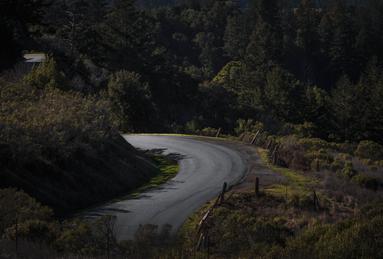 twisty forest road through california