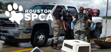 Houston Hurricane Harvey Help Donate