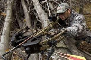 Kentucky crossbow hunting