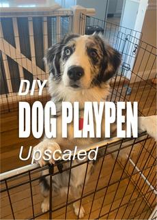 DIY Upscaled Dog Playpen