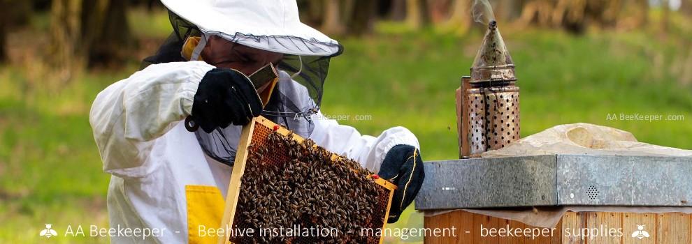 Bee Hive Installation | Host a Bee Hive San Diego Orange County ...