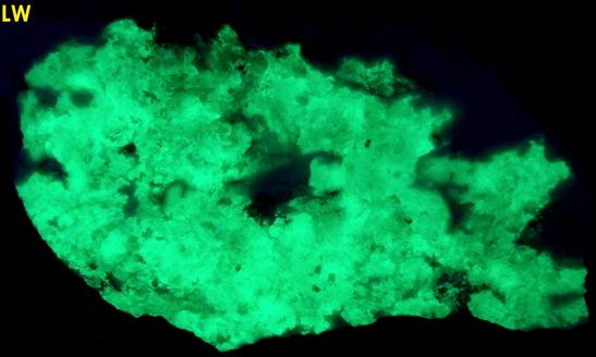 fluorescing Opal-AN Hyalite, Almandine garnet, Smoky Quartz, Muscovite mica, Albite, Spruce Pine, Spruce Pine District, Mitchell County, North Carolina, USA