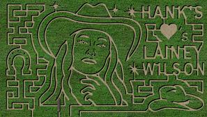 Picture of Corn Maze Design. For 2018, it is A Decade of Donuts