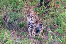The best of the best pictures from Africa safari trip in Tanzania