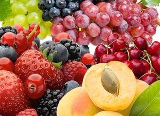 Vitamin P – Flavonoids