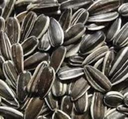Remington Feed carries black oil and grey striped sunflower seeds.