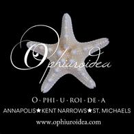 Ophiuroidea The O