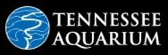 http://www.tennesseeaquarium.org/animals-exhibits/secret-reef-cam/?gclid=CNDy6vrDldECFQmDfgod4nwDZw