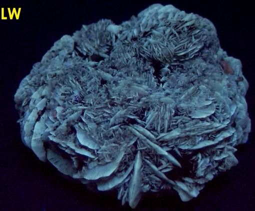 fluorescent phosphorescent GYPSUM SELENITE, Red River floodway, Winnipeg, Manitoba, Canada